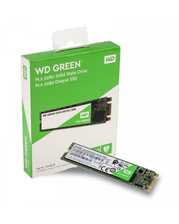WDS480G3G0B (Green 480GB Sata M2)